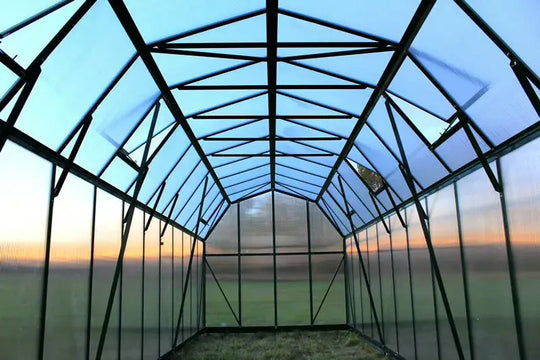 Interior view of Grandio Elite 8x12 greenhouse