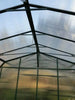Interior view of Grandio Summit 12x24 greenhouse