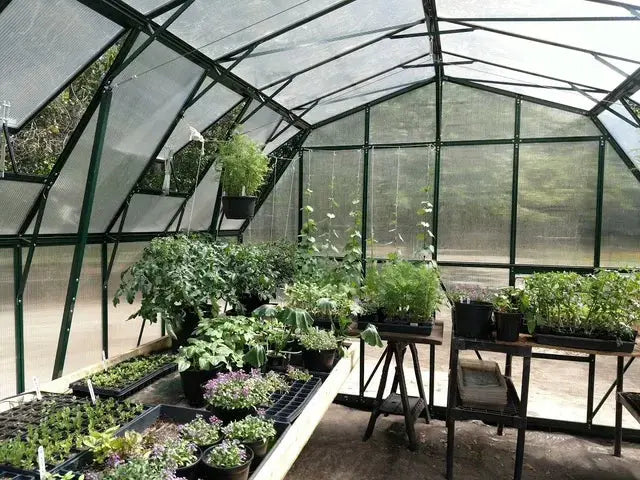 Interior view of Grandio Summit 12x24 greenhouse