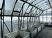 Interior view of Grandio Summit 12x24 greenhouse