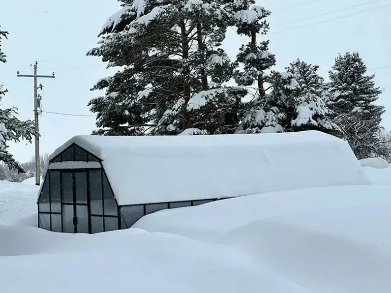 Side view of Grandio Summit 12x24 greenhouse